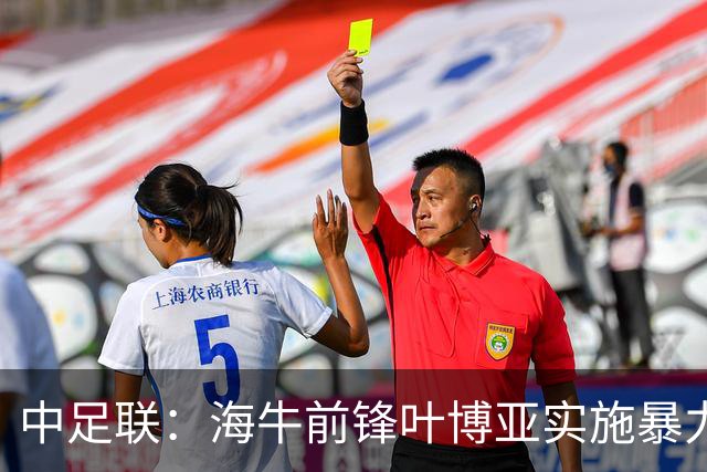 中足联：海牛前锋叶博亚实施暴力行为 停赛4场罚款4万